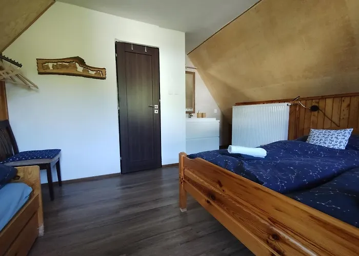 シャレー U Sindelaru -